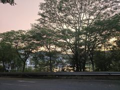 -河源万绿湖美思威尔顿酒店