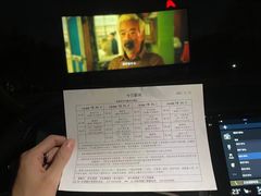 -枫花园汽车电影院(朝阳公园店)