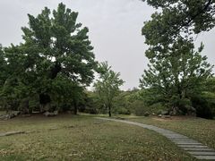 -东湖落雁景区