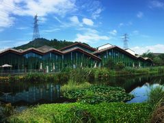 -西湖风景区-江洋畈生态公园