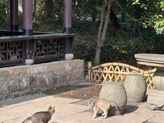 -惠山古镇·寄畅园