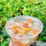 蔬果茶首创者丨“吃瓜椰嗨皮”茶救吃瓜第二弹