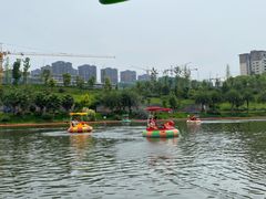 -枫香湖儿童公园
