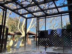 -春晖园度假酒店温泉