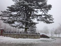 -秦岭终南山世界地质公园翠华山景区