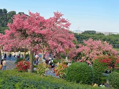 -东莞植物园