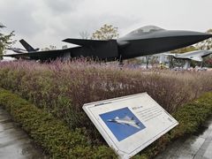 -成飞公园