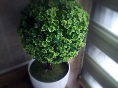 新西津客栈-西津云缦酒店