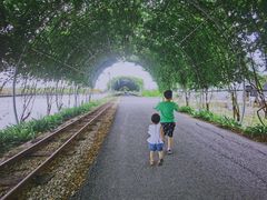 -米果果小镇