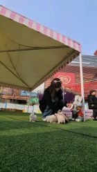 -萌宠亲子动物乐园(槐房万达店)