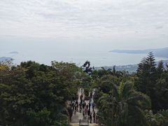 -亚龙湾热带天堂森林公园