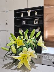 -NICE SALON 奈丝造型
