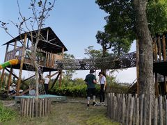 -上海长兴岛郊野公园