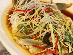 -源泉冷水鱼庄(小鱼洞店)