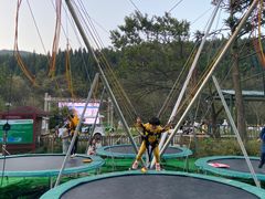 -武陵山森林公园