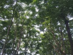 -石湖景区