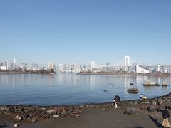 -台场海滨公园船码头