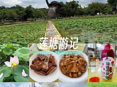 -红山村