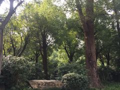 -万象影城(杭州万象城IMAX激光店)