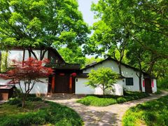 -西溪国家湿地公园