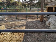 -长白岛森林公园