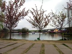 -三圣花乡旅游区