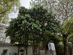 -香积寺
