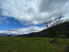 -硗碛藏寨·神木垒景区