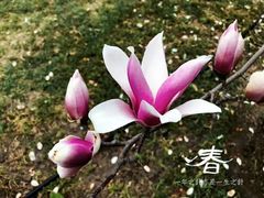 -北京化工大学(东校区)