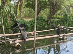 -长兴太湖图影湿地文化园