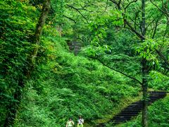 -西岭雪山大飞水景区