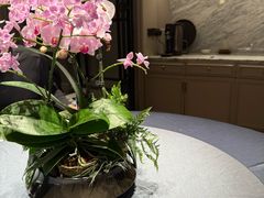 -狮王府淮扬菜(万象城店)