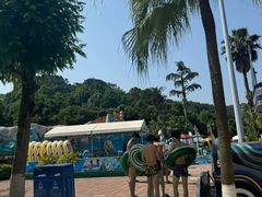 -重庆海昌加勒比海水世界
