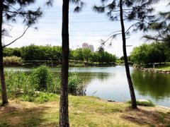 -九里河湿地公园
