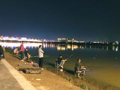 -灞河西岸滨河公园