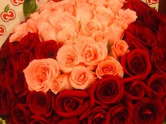 -Gucci(北京金融街购物中心店)