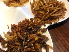 -园林美食城·本土农家菜(杨和镇店)