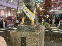 -涩谷区