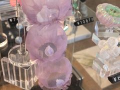 -茑屋书店(天目里店)