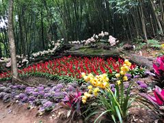 -广州市石门国家森林公园