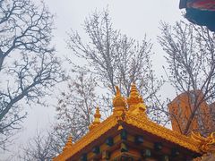 -护国法轮寺