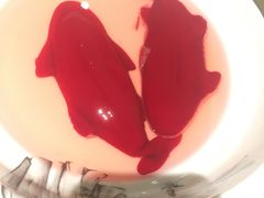 -青瓷火锅料理(西单大悦城店)