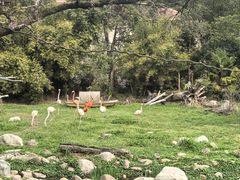 -宁波野生动物园