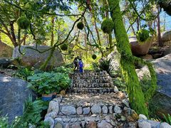 -沂蒙山旅游区云蒙景区(蒙山国家森林公园)