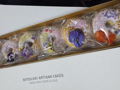-Biteology Artisan Cakes(红庄·国际文化保税创新园店)