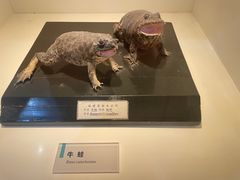 -国家自然博物馆