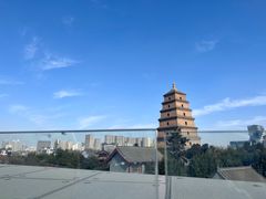 -M Stand(西安大悦城店)