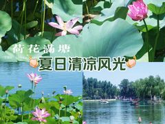-什刹海