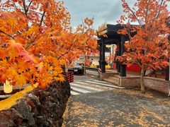 -Blue Concept Cafe&Farm·關於藍