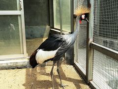 -竹泉村旅游度假区